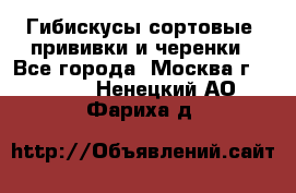 Гибискусы сортовые, прививки и черенки - Все города, Москва г.  »    . Ненецкий АО,Фариха д.